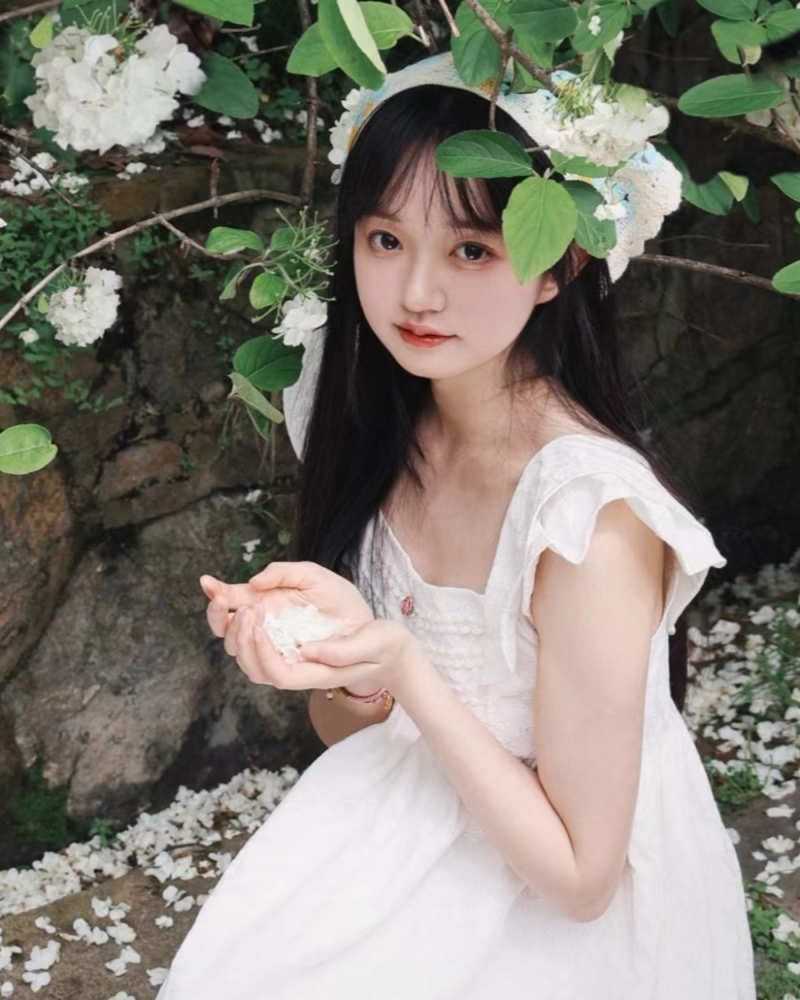 排云启腾804